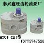 HY01型齿轮油泵 不锈钢泵 液压泵