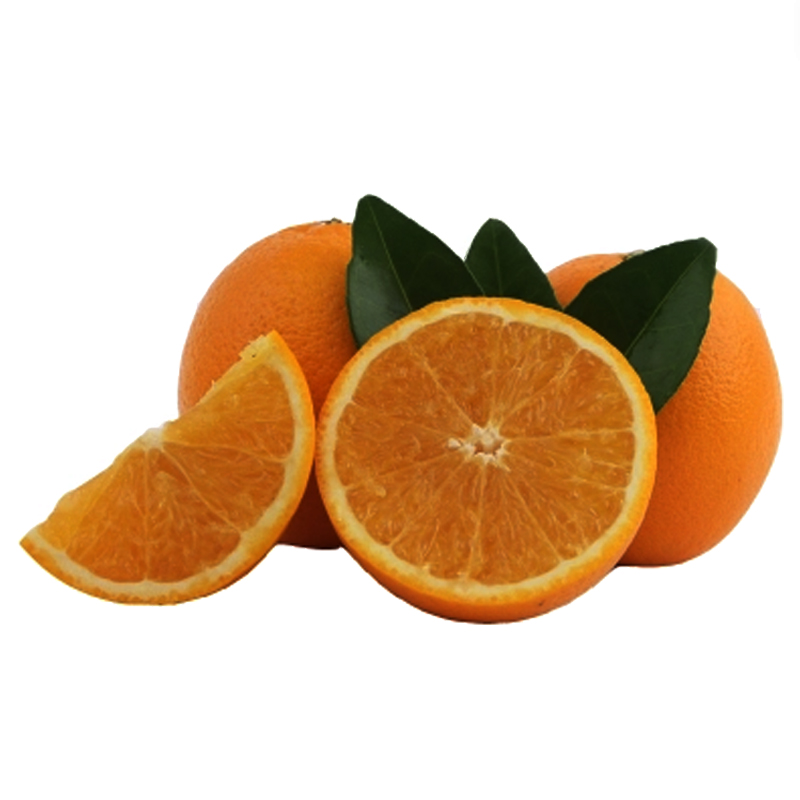 当季甜橙 脐橙 厂家现摘 正宗3