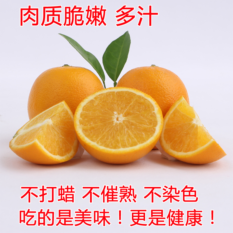 冰糖甜橙 江西赣州 橙子 精品果包邮3