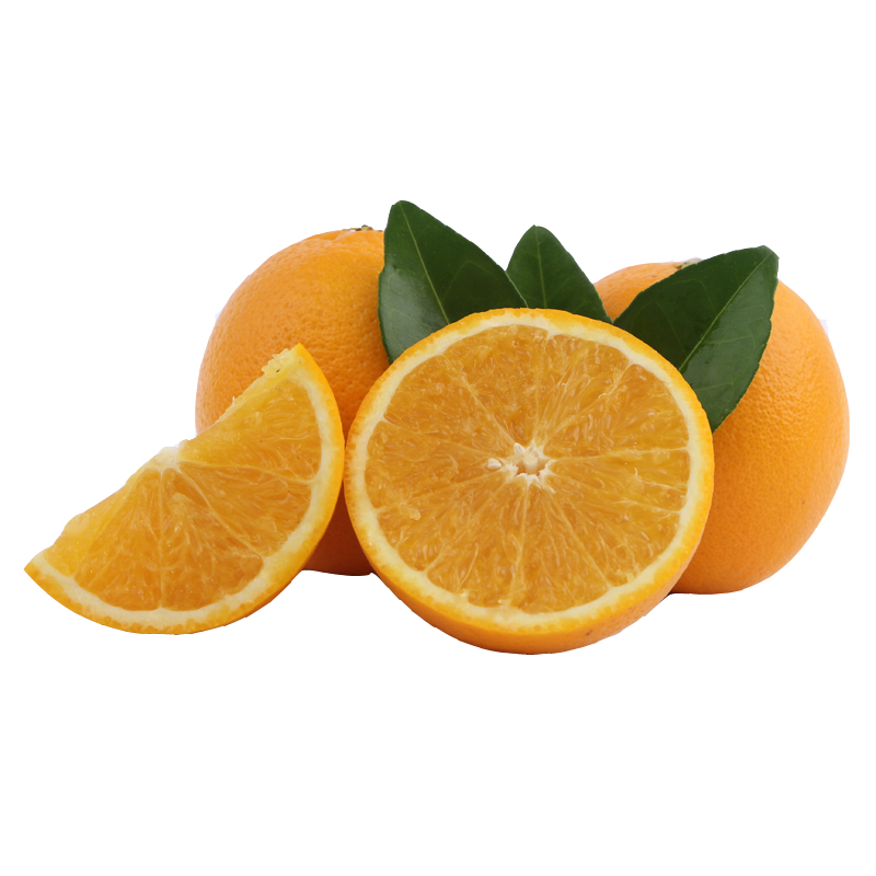 20斤新鲜脐橙 橙子 正宗 厂家现摘3