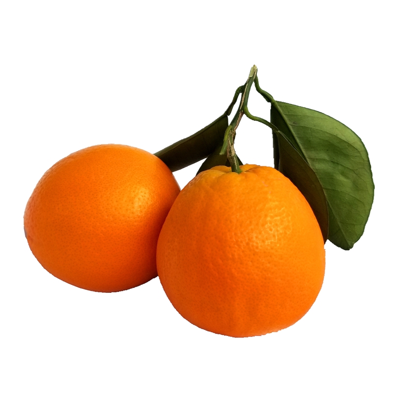橙子 正宗 厂家现摘 当季甜橙3