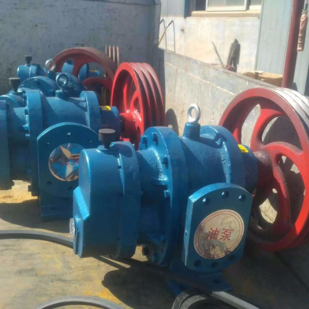 胶水泵 LC-100系列高粘度罗茨泵 沥青泵 海赫泵业 玻璃胶泵 厂家直销