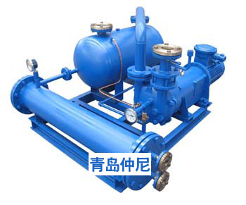 液环式真空泵机组2W闭式 仲尼真空泵供应1
