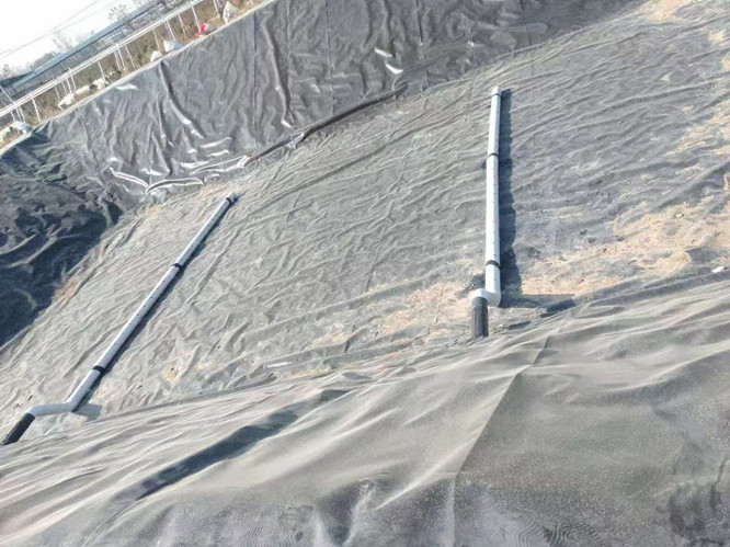 1.50mm厚高密度聚乙烯HDPE土工膜应用沼液池建设铺设顶膜1
