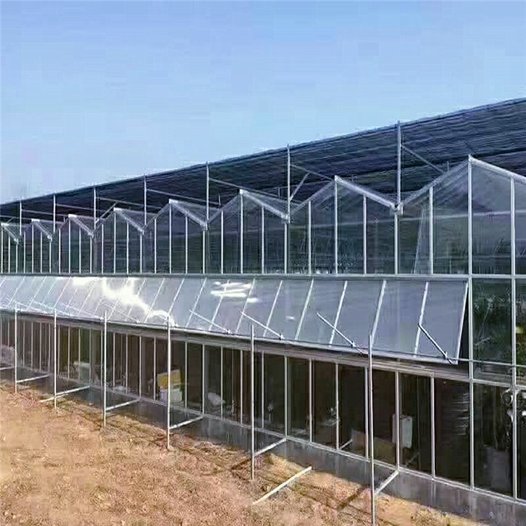 鲜花大棚设计安装 温度可控 智能化 简单易操作 玻璃温室建造3