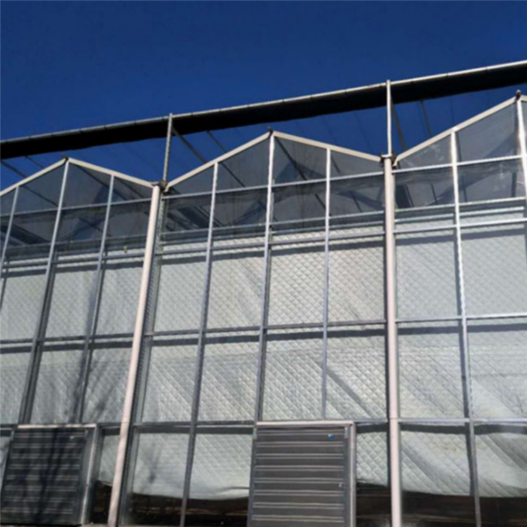 专业设计施工 玻璃大棚 透光效果好 连栋薄膜温室 温室、大棚3
