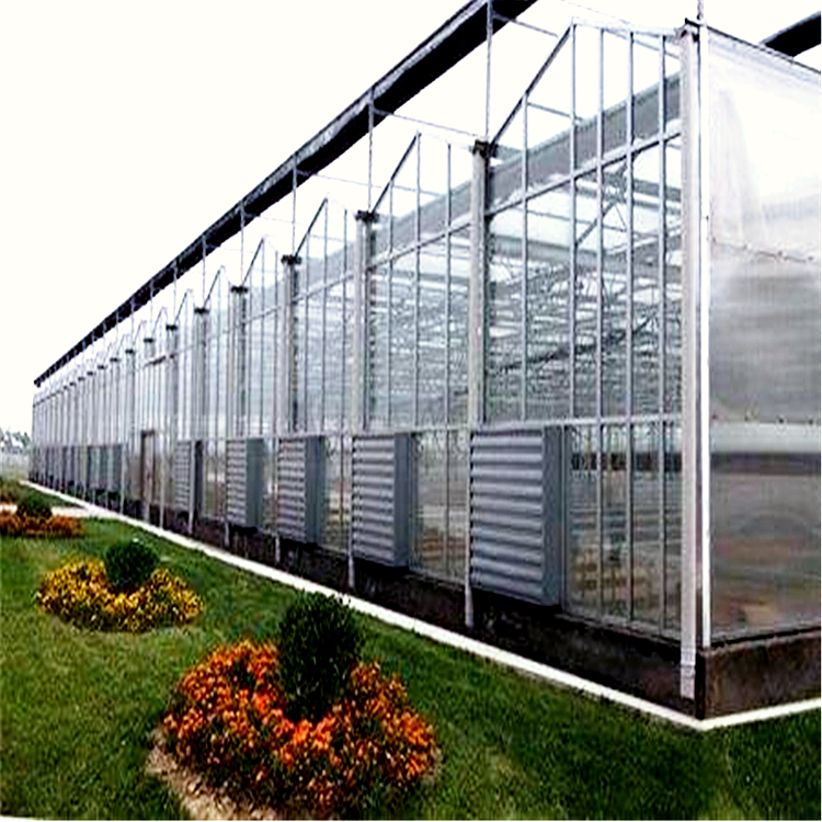 石斛种植 玻璃温室 通风效果好 钢架大棚安装 抗风暴设计4
