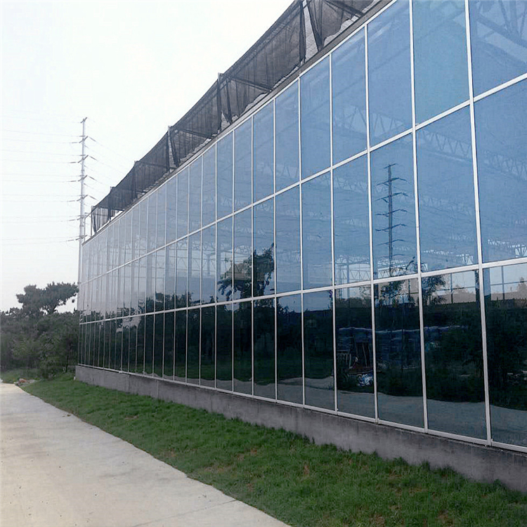 专业设计施工 玻璃大棚 透光效果好 连栋薄膜温室 温室、大棚4