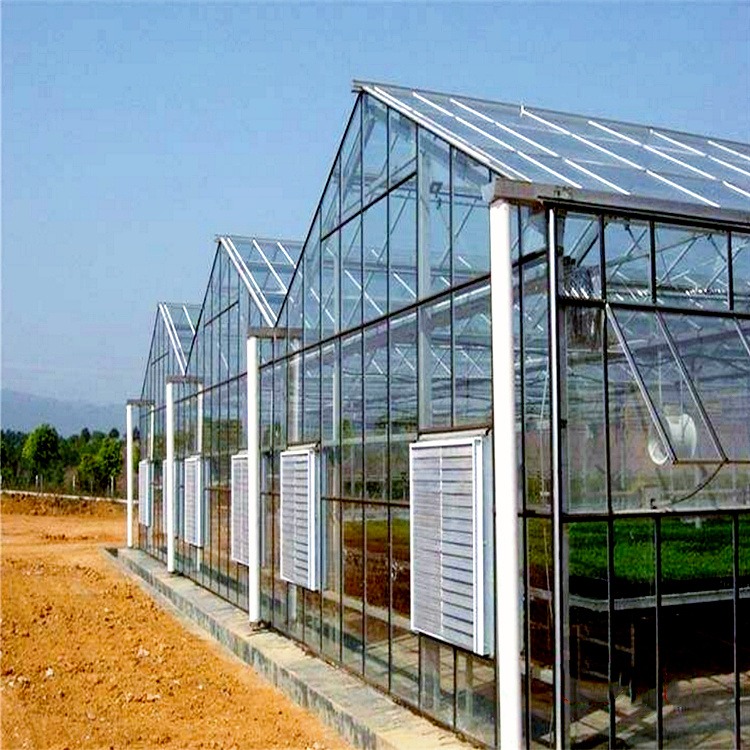 石斛种植 玻璃温室 通风效果好 钢架大棚安装 抗风暴设计