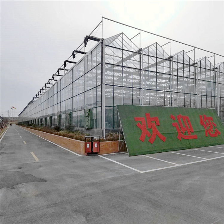 旭航1 日光温室建造 辽宁省温室公司 盘锦市冬季日光蔬菜大棚2