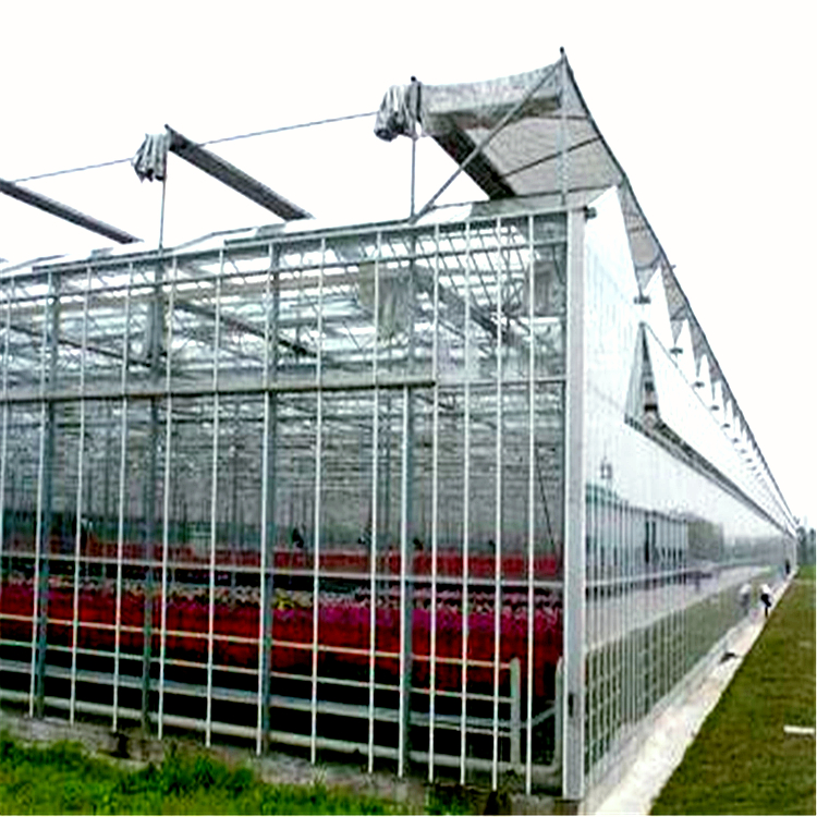 玻璃温室 文洛型保温大棚 专业工程建设 节能环保 温室、大棚1