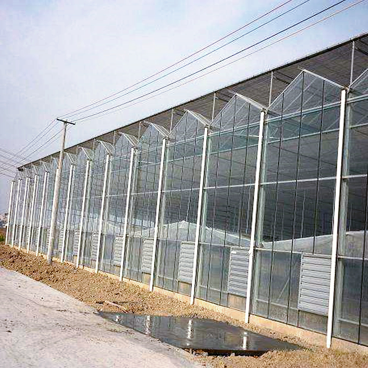 石斛种植 玻璃温室 通风效果好 钢架大棚安装 抗风暴设计2