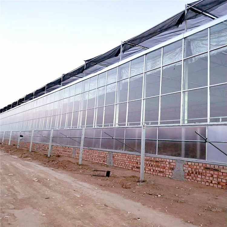 鲜花大棚设计安装 温度可控 智能化 简单易操作 玻璃温室建造4