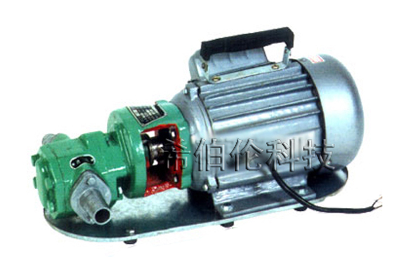 其他泵 油泵 S型微型齿轮油泵3