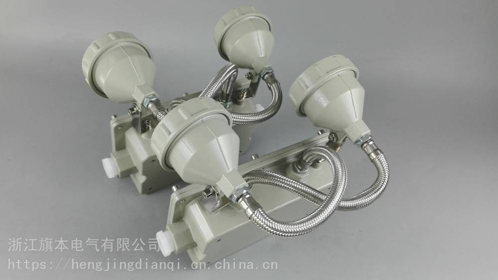 BAJ52防爆應急燈防爆自帶蓄電池燈具 旗本LED雙頭應急燈1