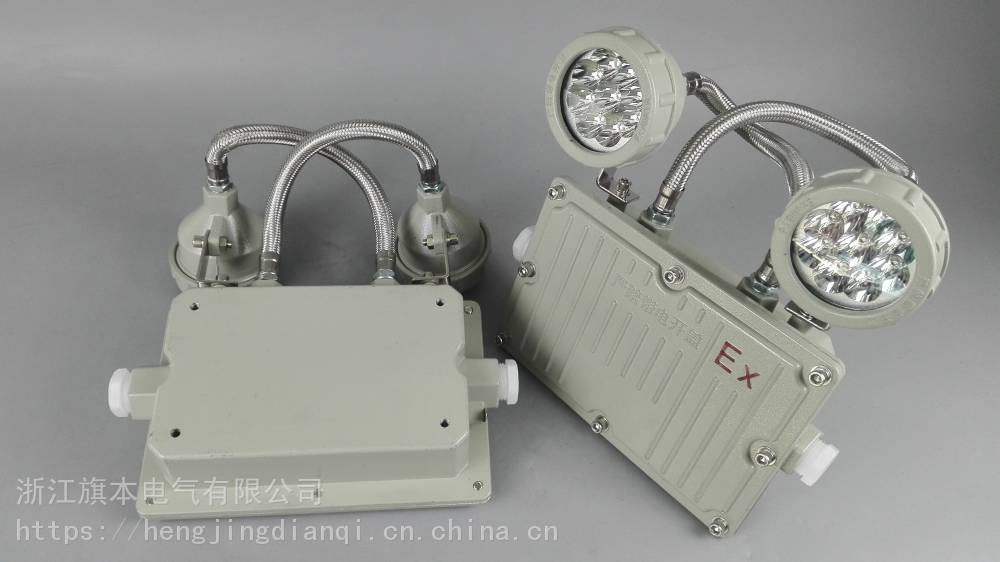 BAJ52防爆應急燈防爆自帶蓄電池燈具 旗本LED雙頭應急燈2