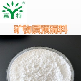 供应广州赢特牌食品级复配矿物质预混料食品营养强化剂 其他膳食补充食品