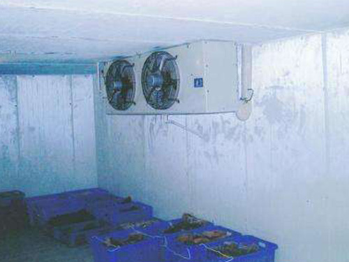 其他制冷设备 虎门冻品冷库 淇淋制冷设备提供有品质的冻品冷库3