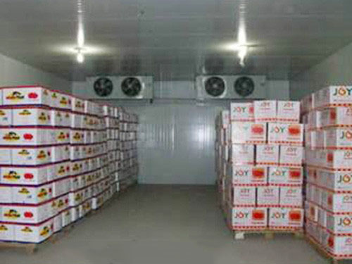 其他制冷设备 能买到好用的海鲜冷库设备 广州海鲜冷库设计1