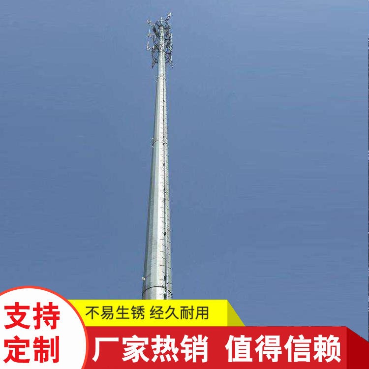 独管塔 可定制 河北厂家供应避雷针10米15米 防雷避雷塔 单管避雷塔 环形钢管避雷针5