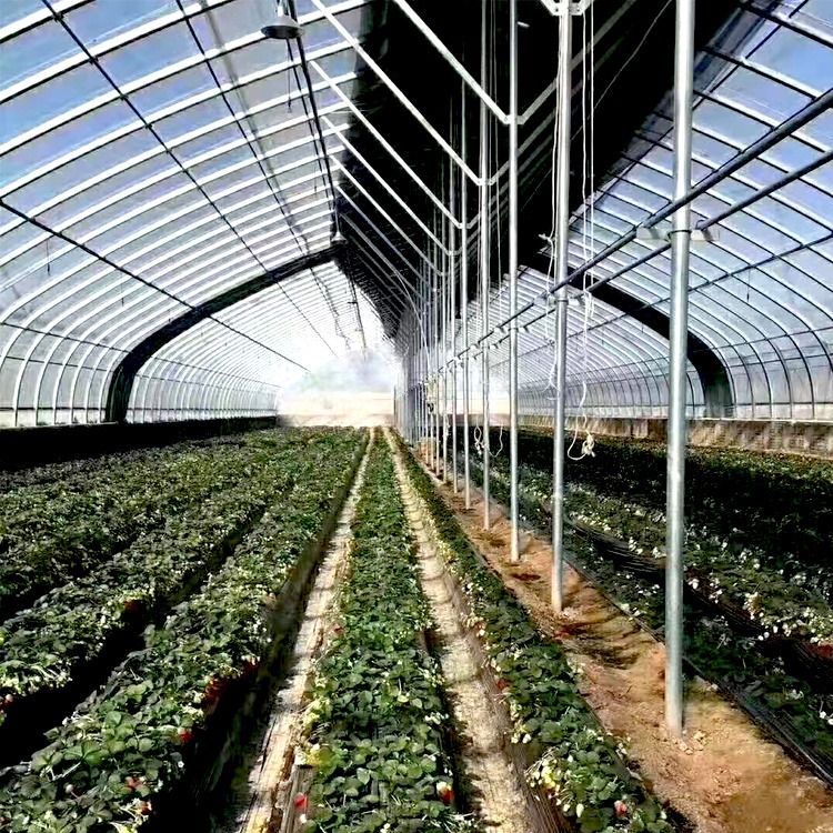 大棚厂家 生产 养殖棚 免费设计蔬菜棚 安装一体化服务 种植大棚
