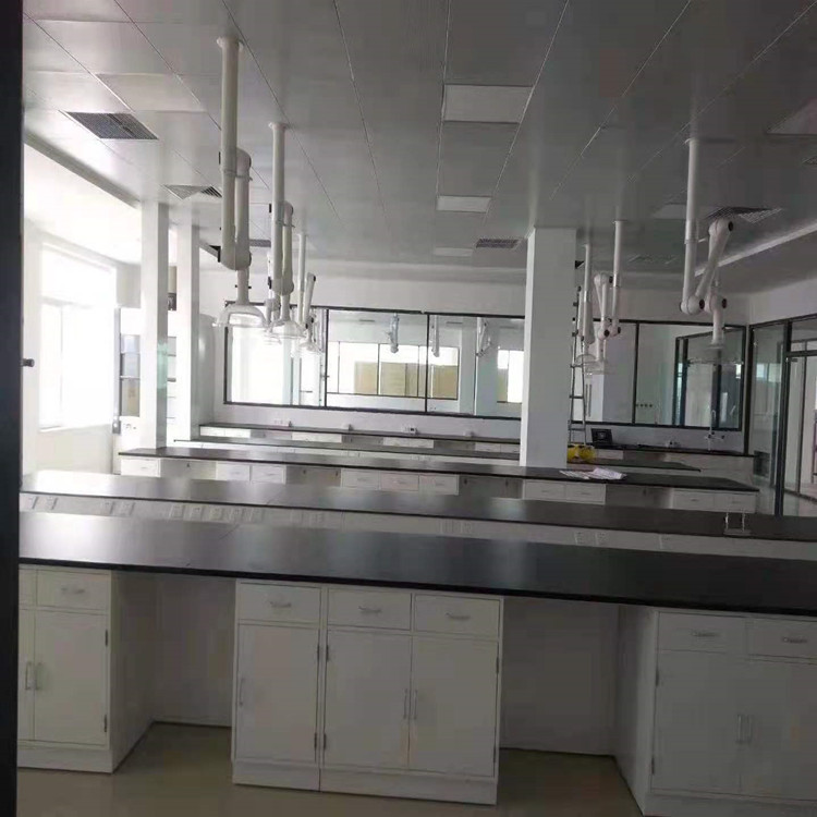 实验台 钢木实验台 化验室工作台厂家 实验室通风柜 专注实验室家具2