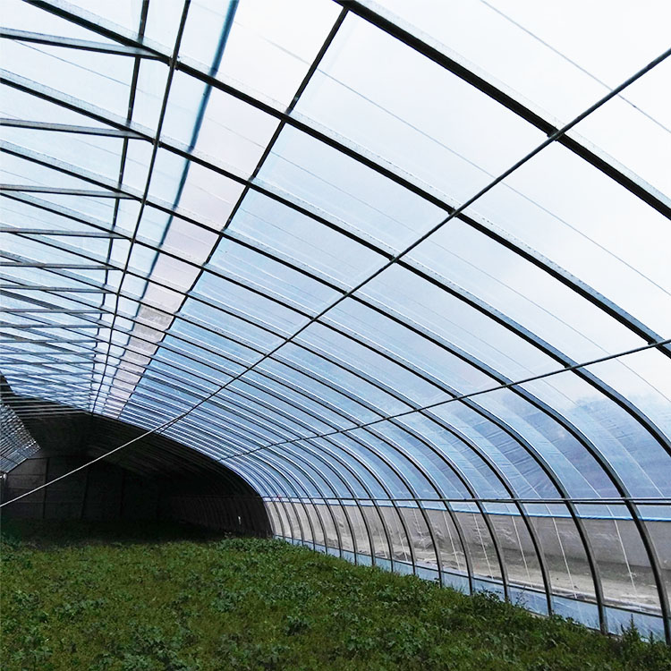 光伏板温室 泽川 农业种植大棚 太阳能阳光板温室大棚 温室、大棚4