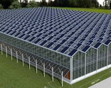 光伏板温室 泽川 农业种植大棚 太阳能阳光板温室大棚 温室、大棚1