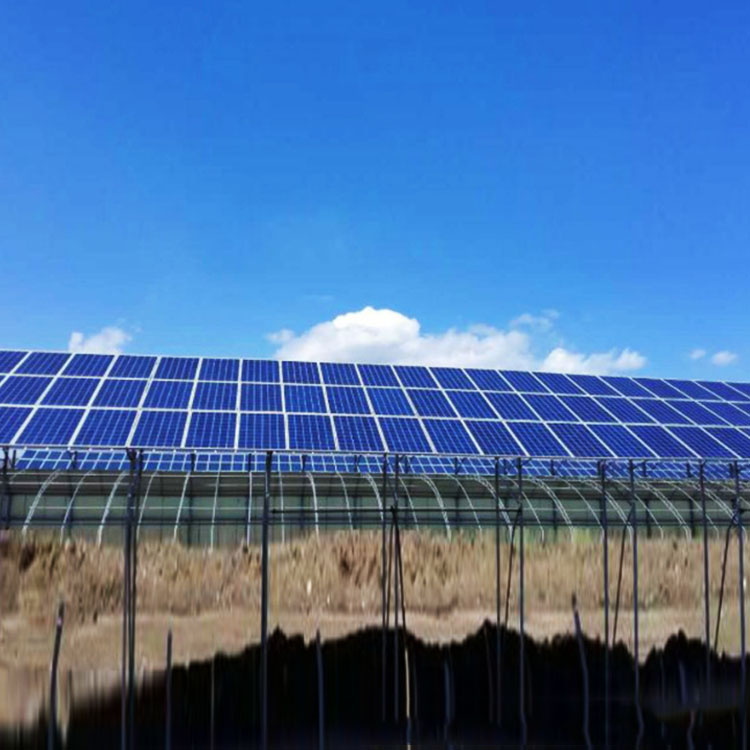 光伏板温室 泽川 农业种植大棚 太阳能阳光板温室大棚 温室、大棚2
