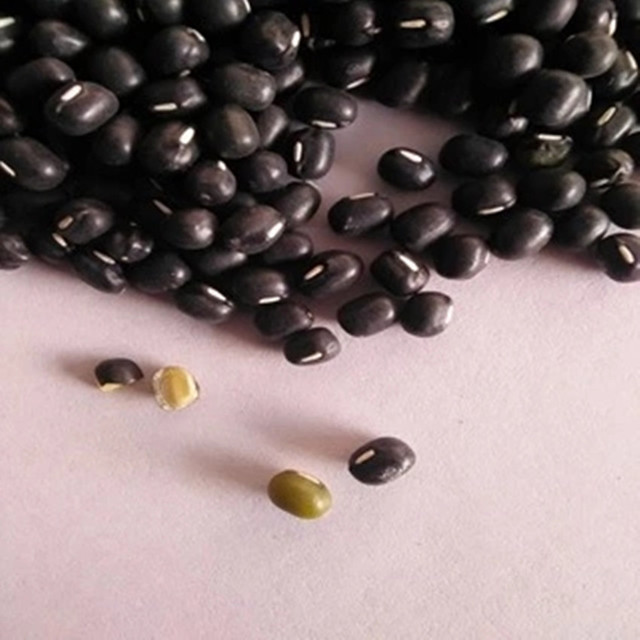 耐旱而瘠薄 适应性强 批发具有保健价值的明黑绿豆种子 1斤 1件