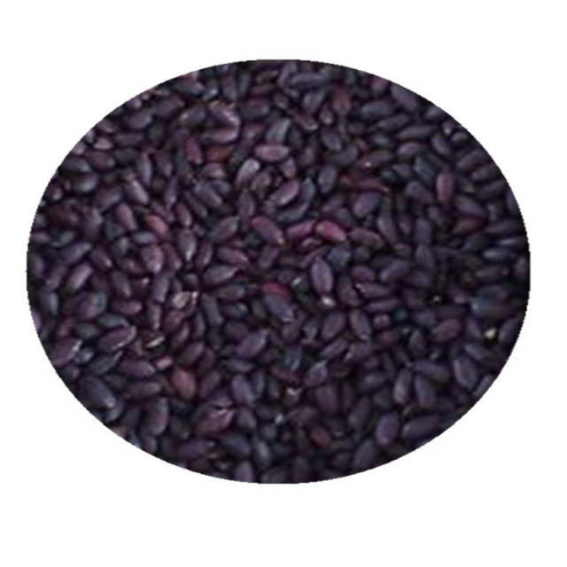 1斤 1件 黑花生批发 种植用精选去壳富硒黑花生米种子 大粒饱满发芽率高