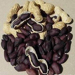 1斤 1件 黑花生批发 种植用精选去壳富硒黑花生米种子 大粒饱满发芽率高2