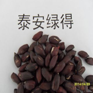 1斤 1件 黑花生批发 种植用精选去壳富硒黑花生米种子 大粒饱满发芽率高1