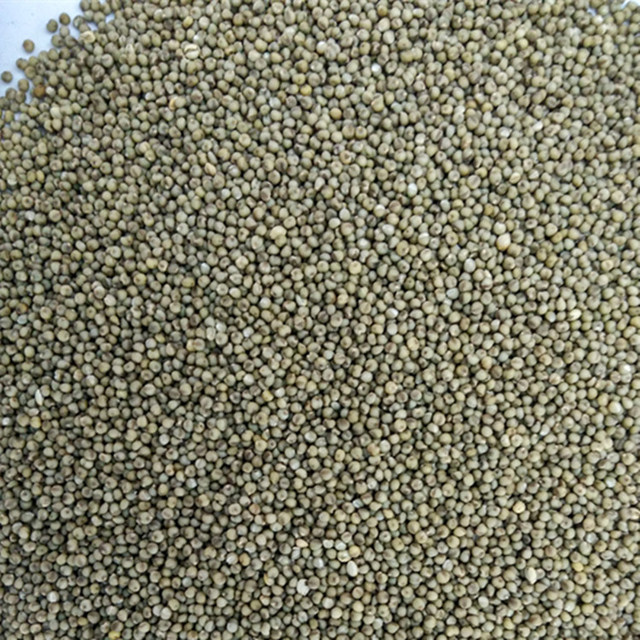 原粮非转基因绿小米 散装1件 精选绿小米 厂家批发 1斤