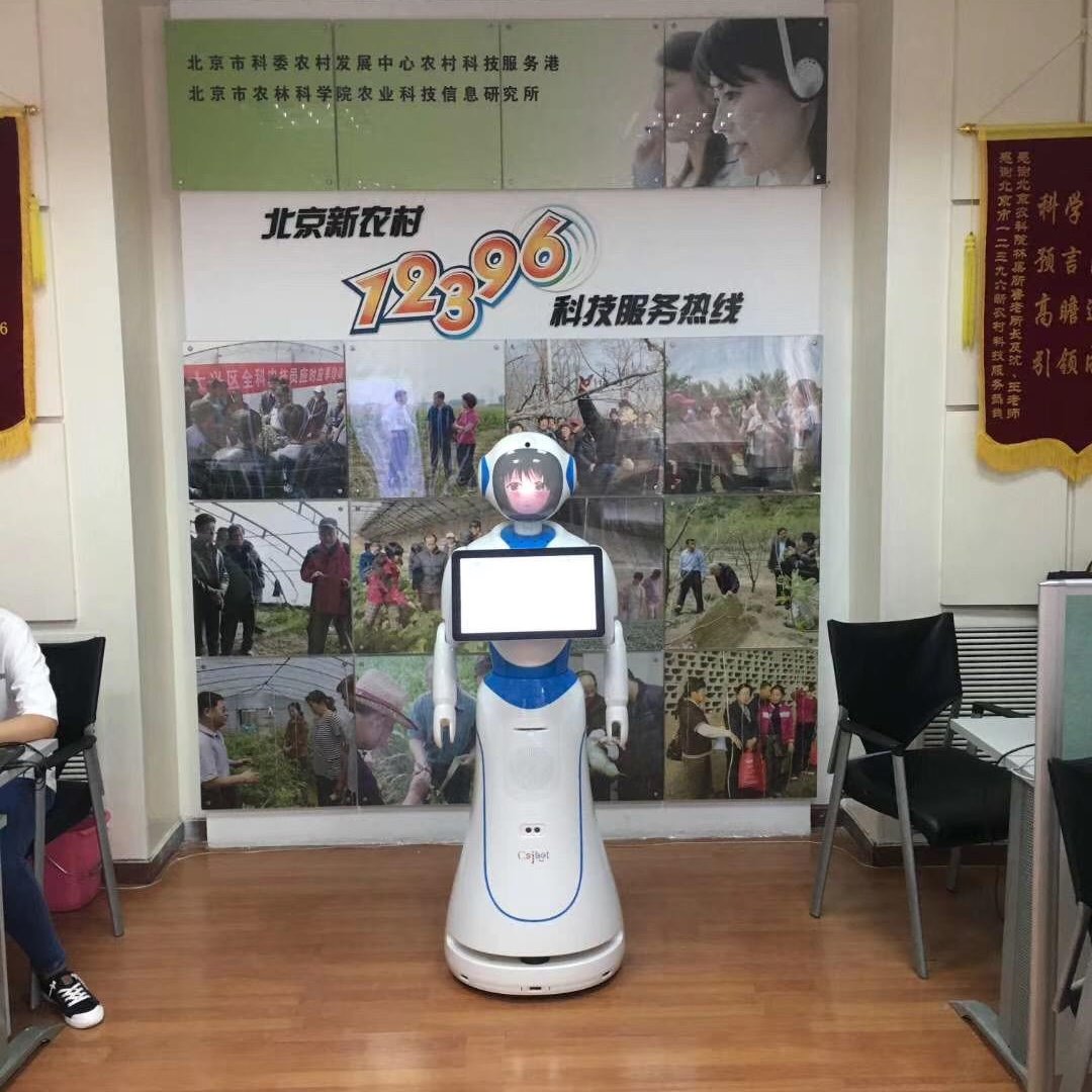 服务迎宾机器人爱丽丝可导航办理业务 3C智能机器人 供应福建福州税务3