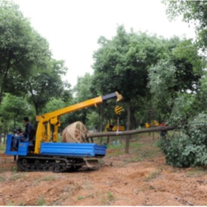 林业机械 安徽挖树机起树机链式挖树机器价格挖树机厂家1