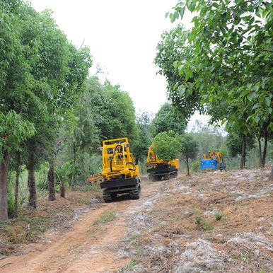 进口好马克挖树机器与国产三普挖树机器区别价格 种植机械2
