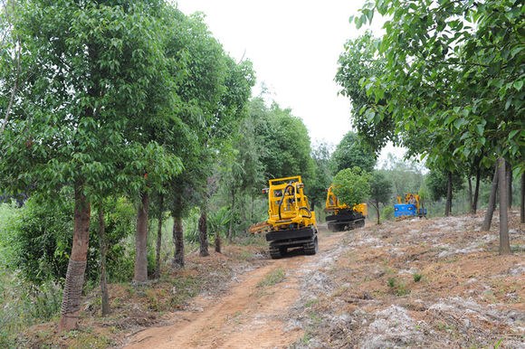 三普挖树机器价格带土球挖树机器品牌排名视频 种植机械7