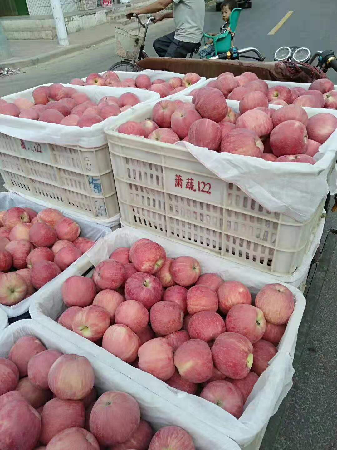 当季新鲜水果 产地直供 新鲜水果 山西临猗纸加膜红富士苹果1