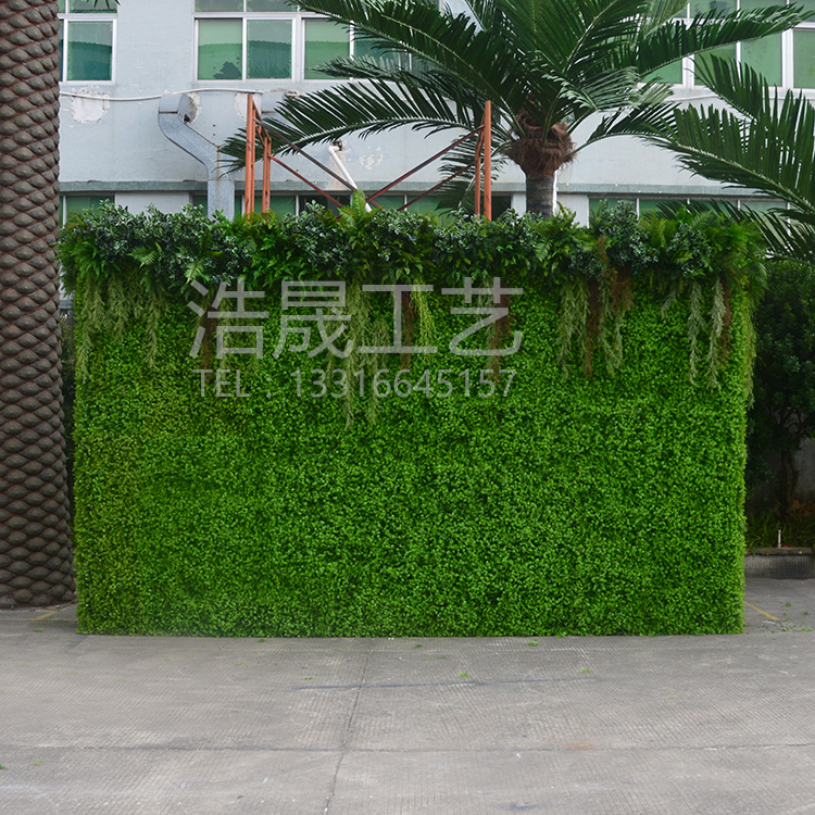 塑料植物墙 创意仿真绿色植物墙 东莞浩晟工艺仿真植物墙 厂家直销可批发1