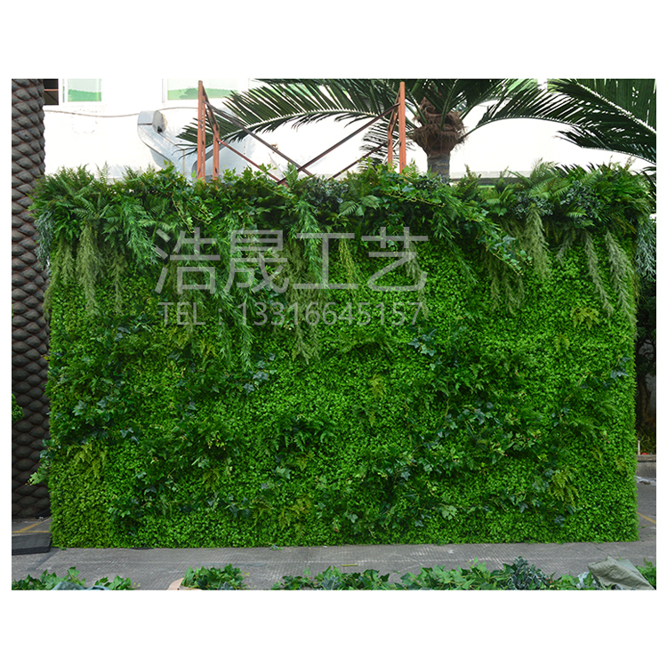 塑料植物墙 创意仿真绿色植物墙 东莞浩晟工艺仿真植物墙 厂家直销可批发2