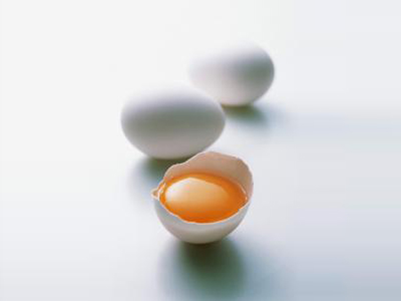 的白皮鸡蛋推荐 白皮鸡蛋 其他禽蛋2