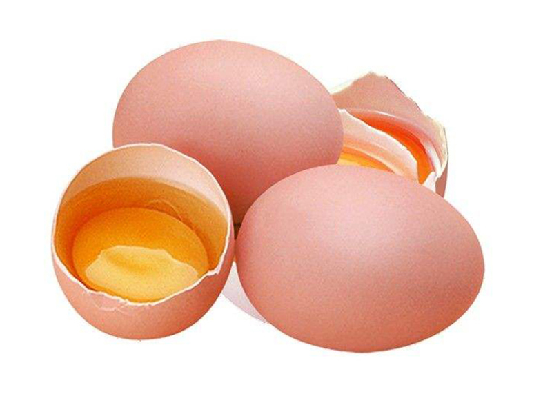 采购散养土鸡蛋就找河南益隆 散养土鸡蛋品牌 其他禽蛋2