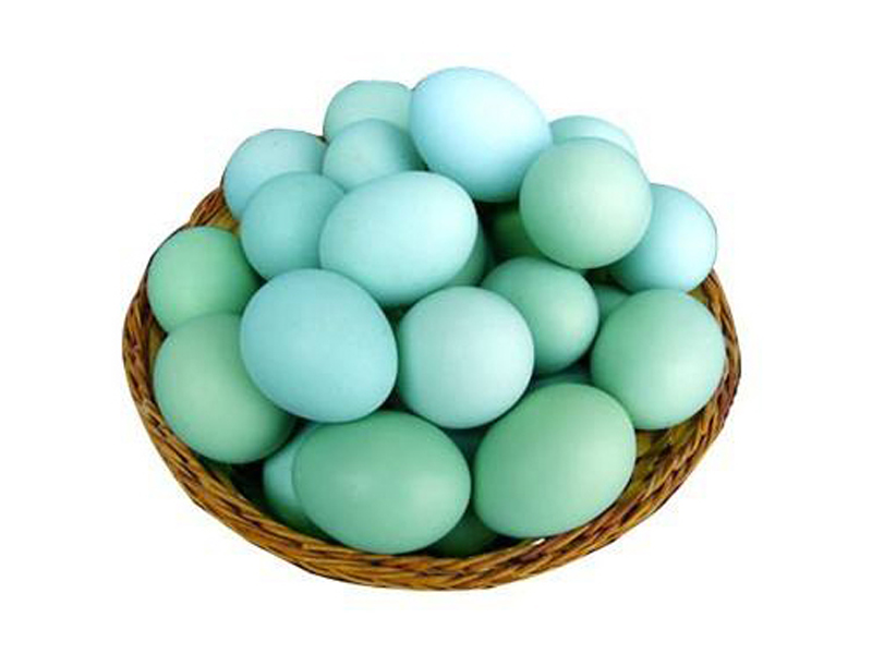 其他禽蛋 能买到放心的绿皮鸡蛋-绿皮鸡蛋价格行情