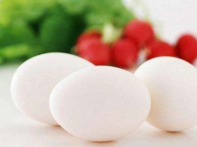 的白皮鸡蛋推荐 白皮鸡蛋 其他禽蛋