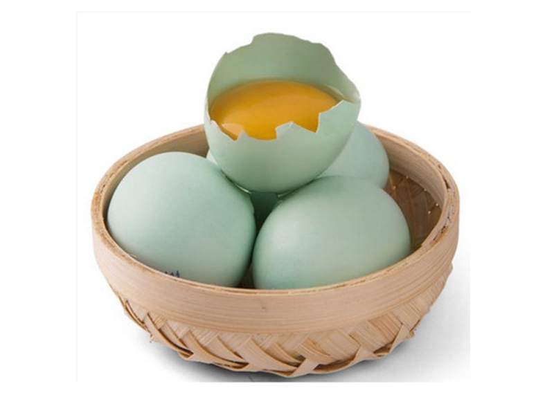 其他禽蛋 爽口的绿皮鸡蛋 去哪找声誉好的绿皮鸡蛋厂家