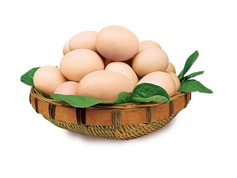 其他禽蛋 采购粉皮鸡蛋就找河南益隆粉皮鸡蛋招商1