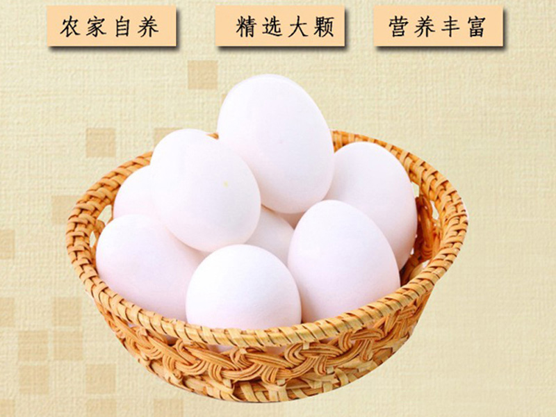 的白皮鸡蛋推荐 白皮鸡蛋 其他禽蛋1