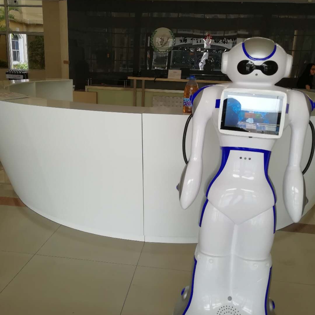 语音互动带领机器人 产品宣传机器人 自主导航机器人 产品宣传机器人 厂家直销无轨迎宾机器人