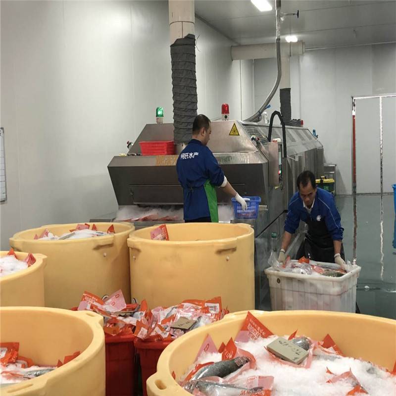 其他制冷设备 榆林食品速冻机生产厂家深海鱼虾食品加工设备2